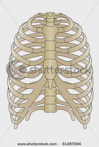 'எங்கள் கனவு! எங்கள் பள்ளி!' P.U.P.SCHOOL, VAYALUR AGARAM. KADAMBATHUR
